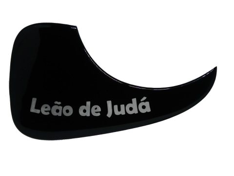 Escudo Gota Takamine — foto 13