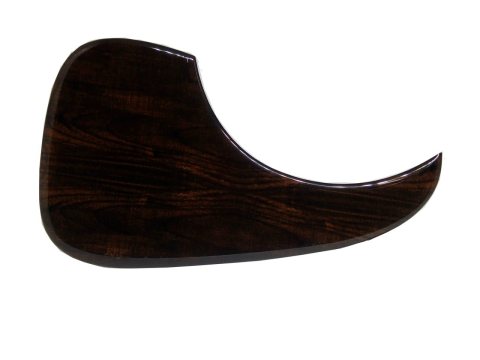Escudo Gota Takamine — foto 12