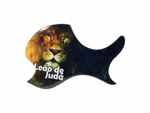 Escudo para violão oval — foto 11