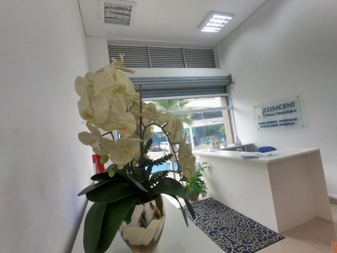 Cleandent — foto 8